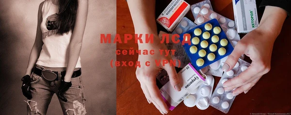 индика Бугульма