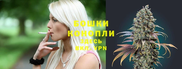 мяу мяу мука Бородино