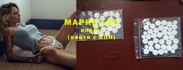 мяу мяу мука Бородино
