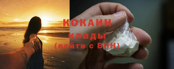 дживик Бронницы