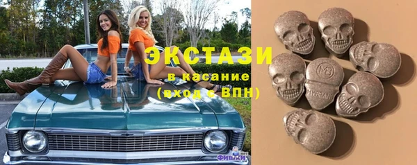 индика Бугульма