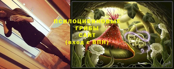дживик Бронницы