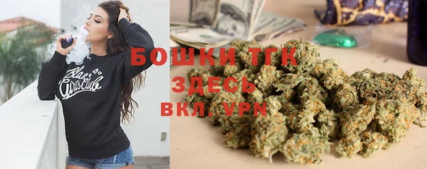 индика Бугульма