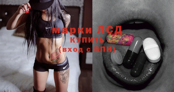 мяу мяу мука Бородино