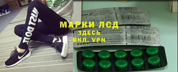 мяу мяу мука Бородино