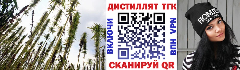 Купить где  Ува  Дистиллят ТГК гашишное масло 