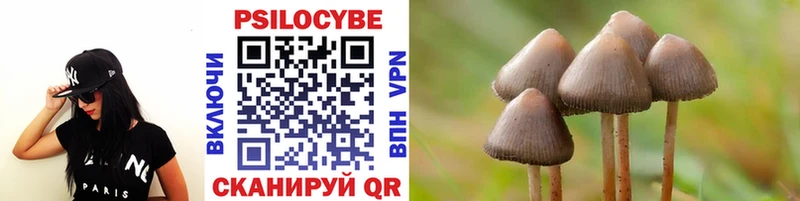 Купить где  Ува  Псилоцибиновые грибы Cubensis 